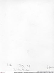 Historisches Foto (Rückseite) von Tuberosagalathea neojurensis (Patrulius, 1959) (NHMW-AFW-GEO-BACHMAYER-FOTO-1990-0041-0652)